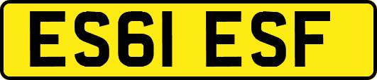 ES61ESF