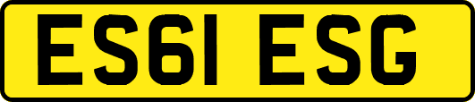 ES61ESG