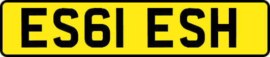 ES61ESH