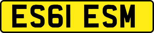 ES61ESM