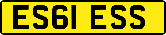ES61ESS