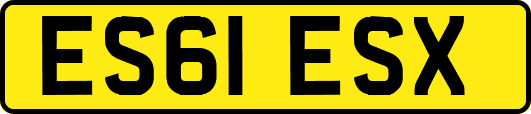 ES61ESX