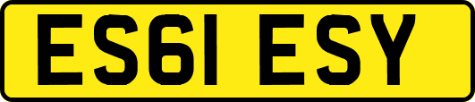 ES61ESY