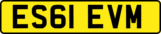 ES61EVM