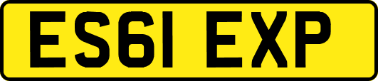 ES61EXP