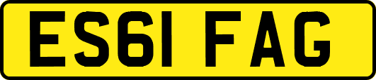 ES61FAG