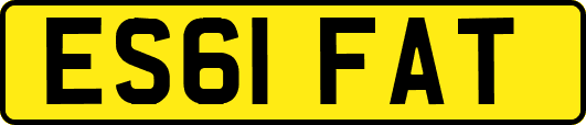ES61FAT
