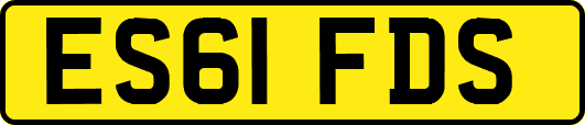 ES61FDS