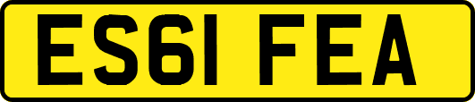 ES61FEA