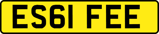 ES61FEE