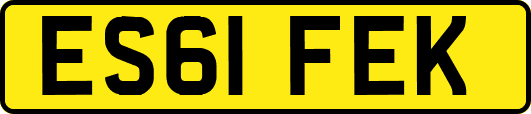 ES61FEK