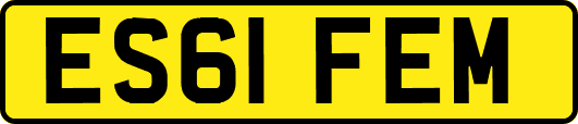 ES61FEM