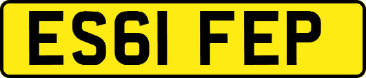 ES61FEP