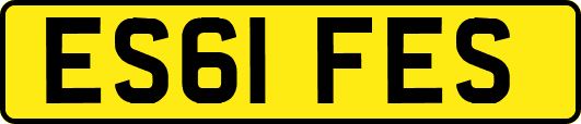 ES61FES