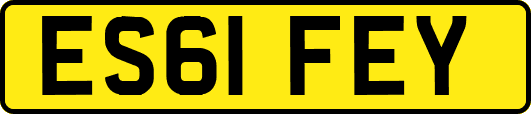 ES61FEY
