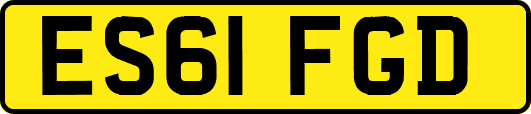 ES61FGD
