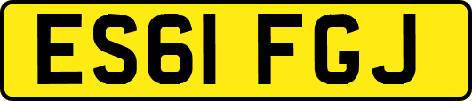 ES61FGJ
