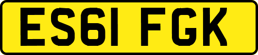 ES61FGK