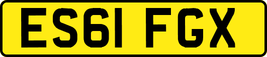ES61FGX