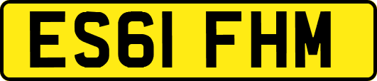 ES61FHM