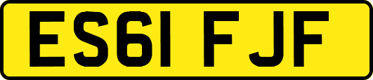 ES61FJF