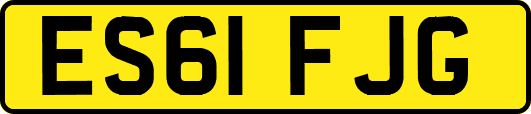 ES61FJG