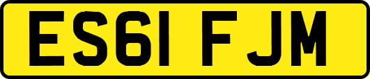 ES61FJM