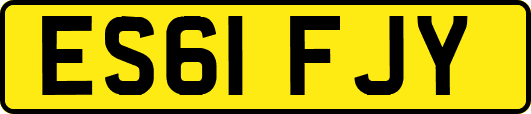 ES61FJY