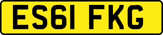 ES61FKG