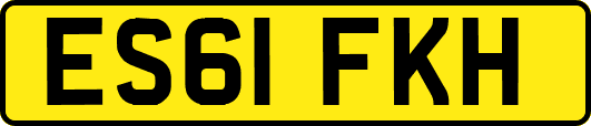 ES61FKH