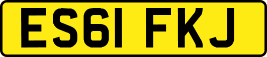 ES61FKJ