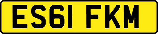 ES61FKM
