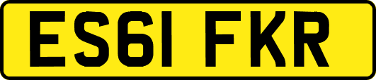 ES61FKR