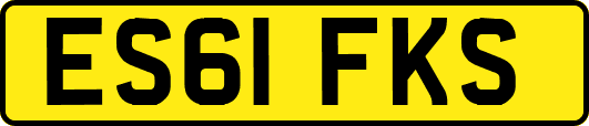 ES61FKS