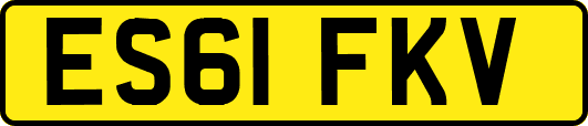 ES61FKV