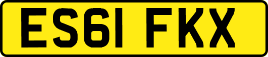 ES61FKX