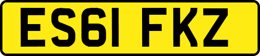 ES61FKZ