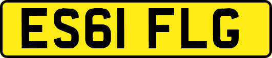 ES61FLG
