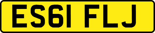 ES61FLJ