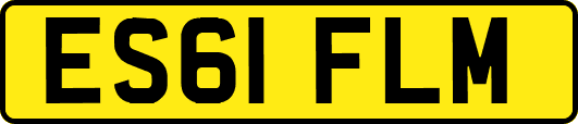 ES61FLM