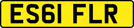 ES61FLR
