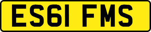 ES61FMS
