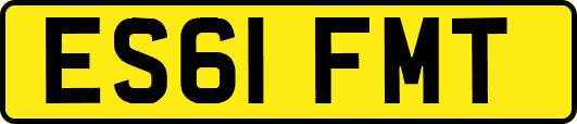 ES61FMT