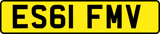 ES61FMV