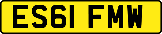 ES61FMW