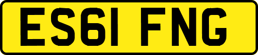ES61FNG