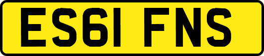 ES61FNS