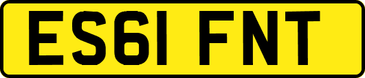 ES61FNT