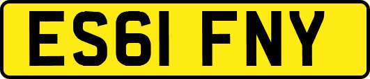 ES61FNY