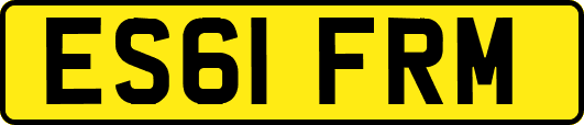 ES61FRM